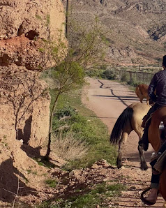 Wild West Horseback Adventures thumb 6